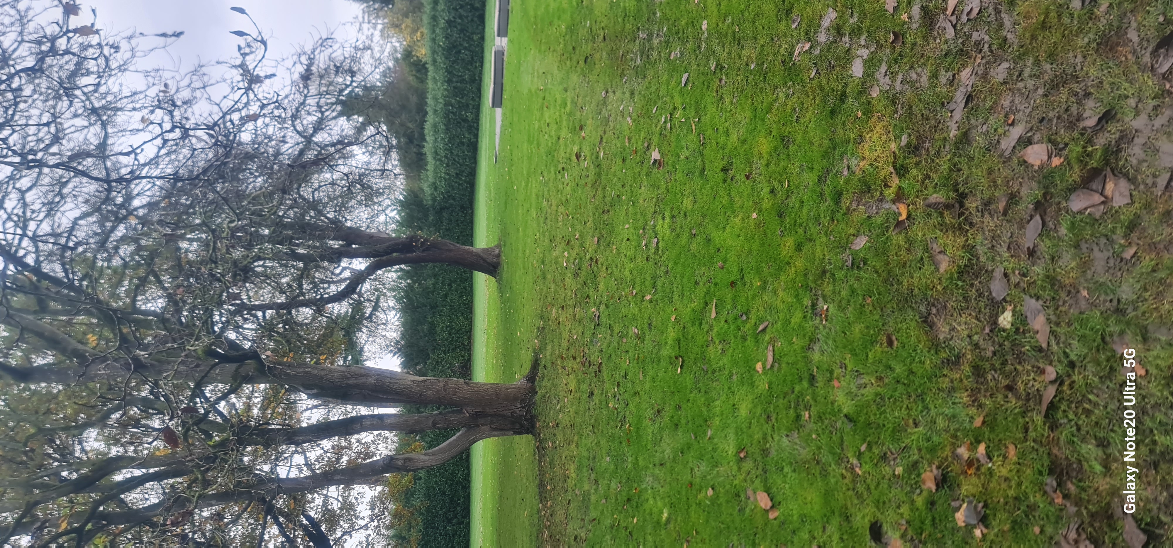 Electric Gate Wiring